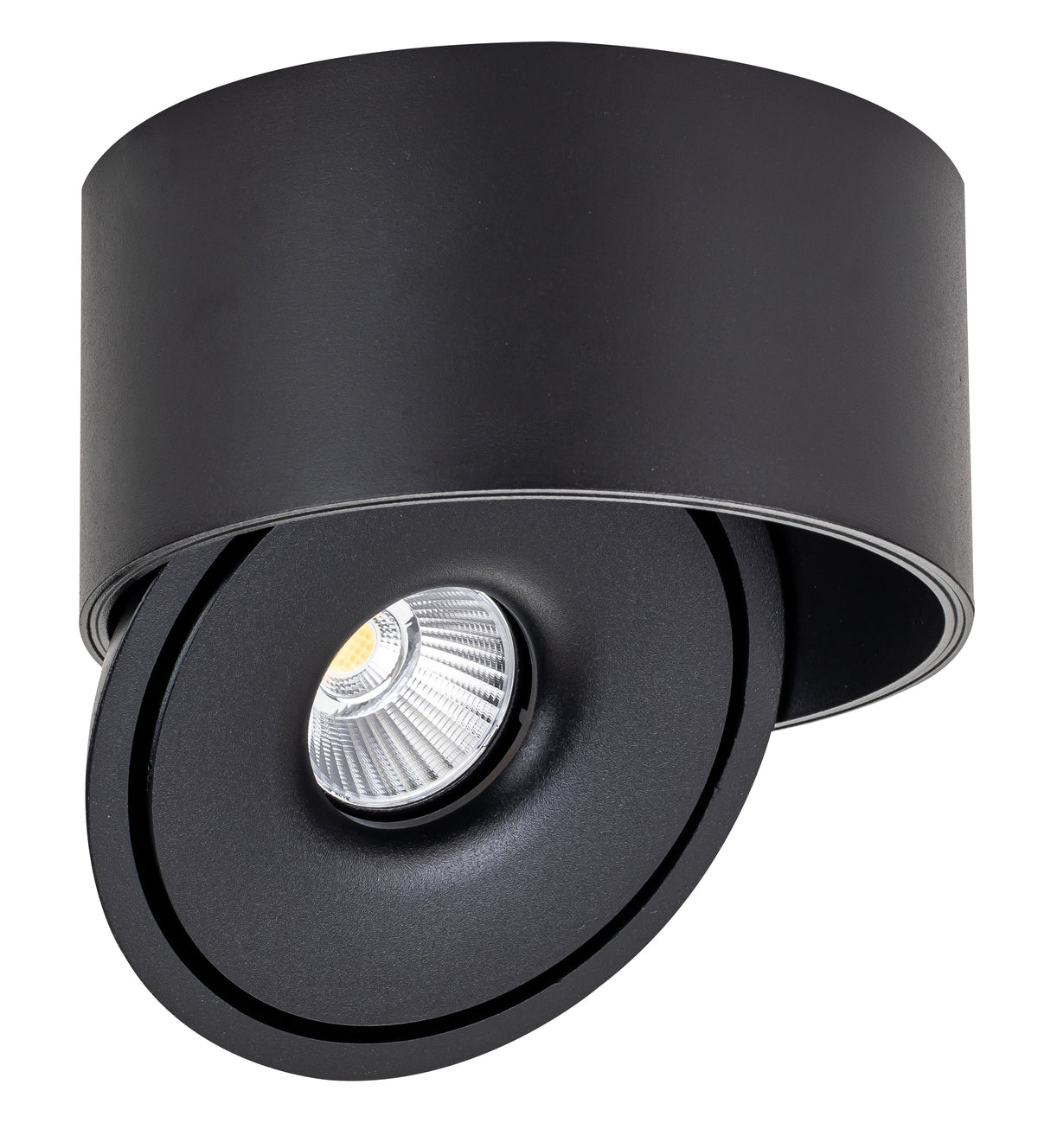 LED COB Downlight 20W ROUND ROTATABLE BLACK - BRIDGELUX