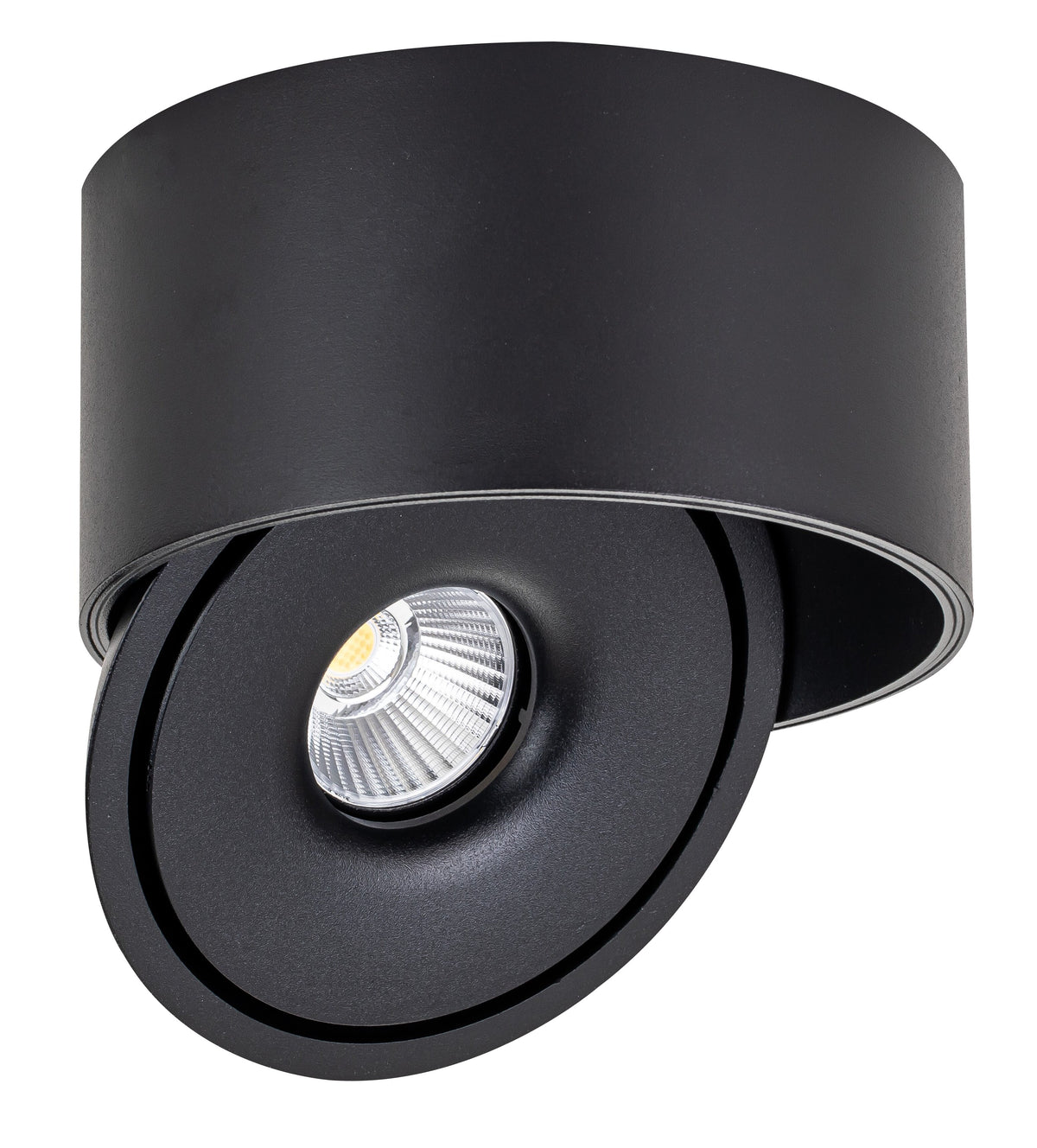 LED COB Downlight 30W ROUND ROTATABLE BLACK - BRIDGELUX