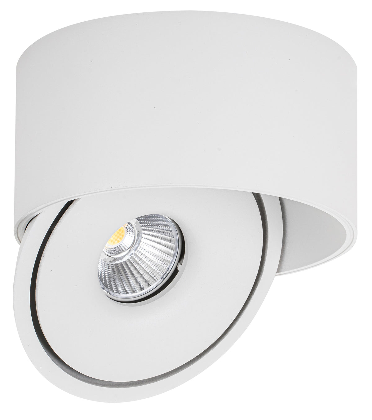LED COB Downlight 30W ROUND ROTATABLE WHITE - BRIDGELUX