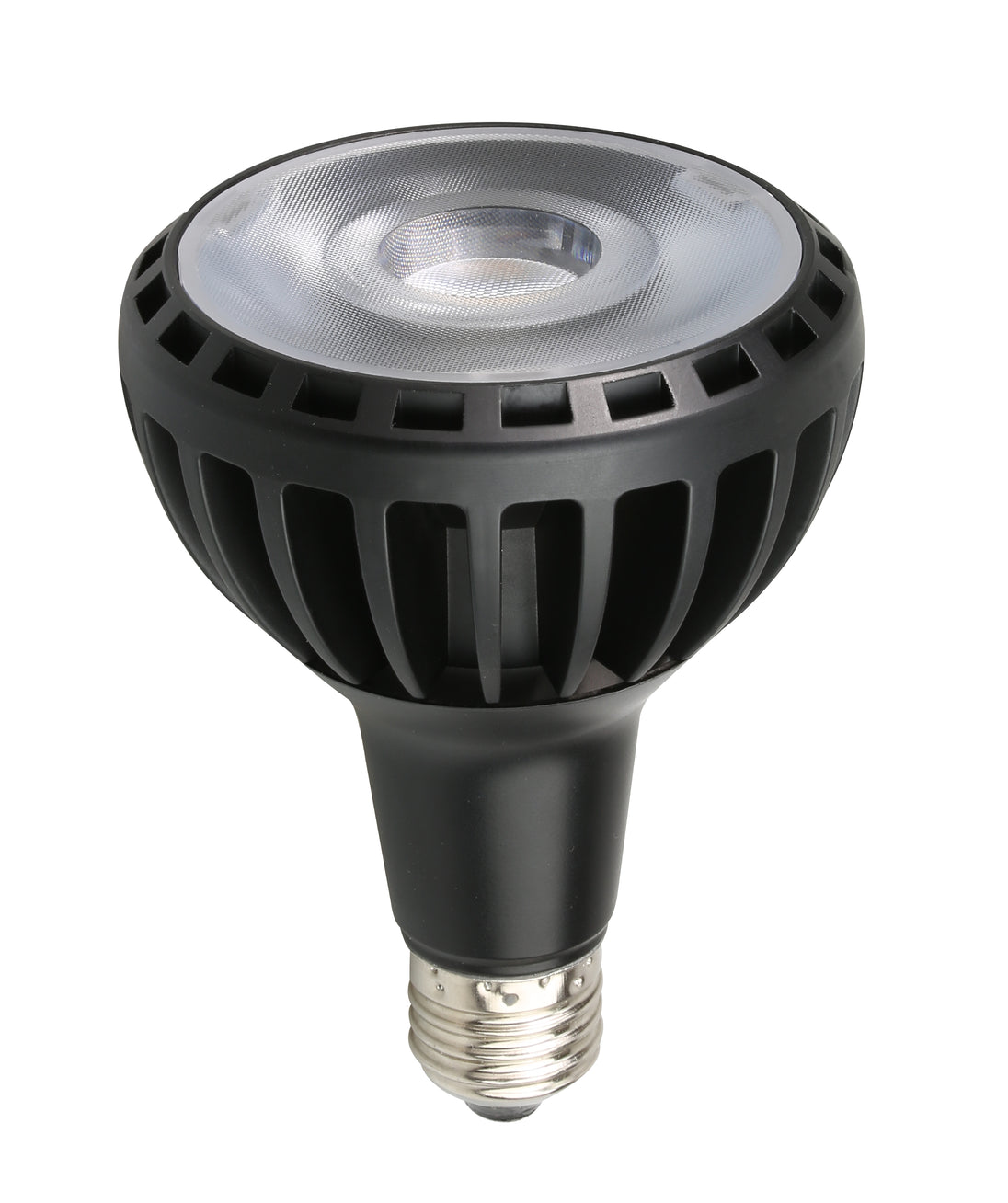 LED Bulb PAR30 E27