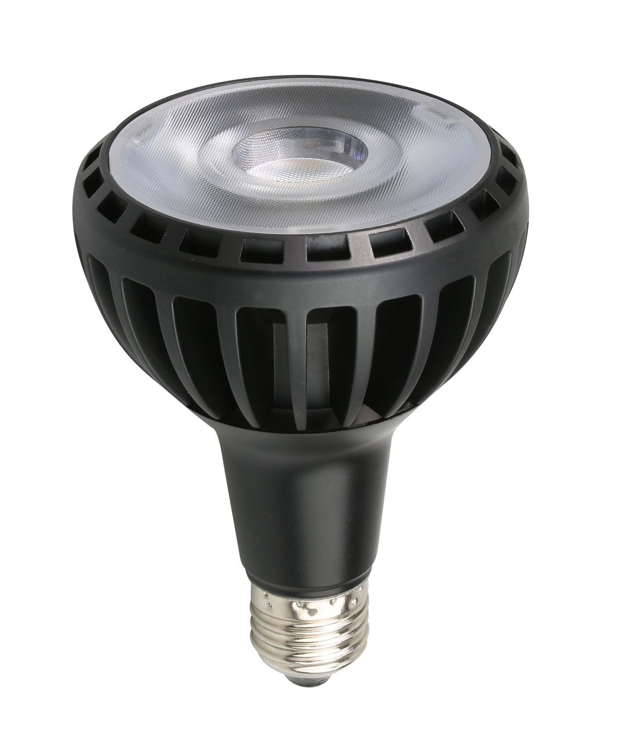 LED Bulb PAR30 E27