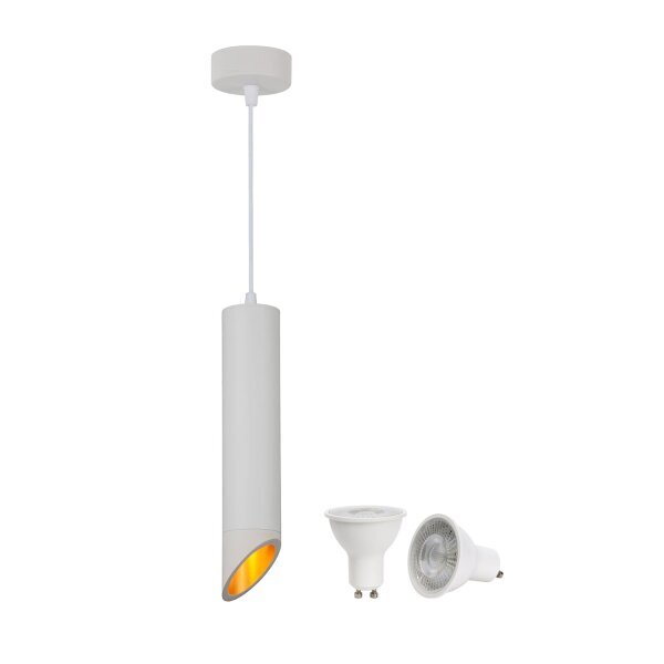 Hanging Fixture With 5W LED Spotlight