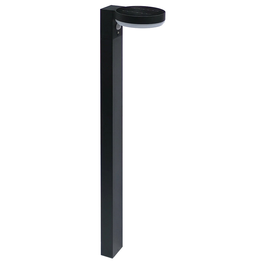 LED Solar Lawn Light PIR Sensor