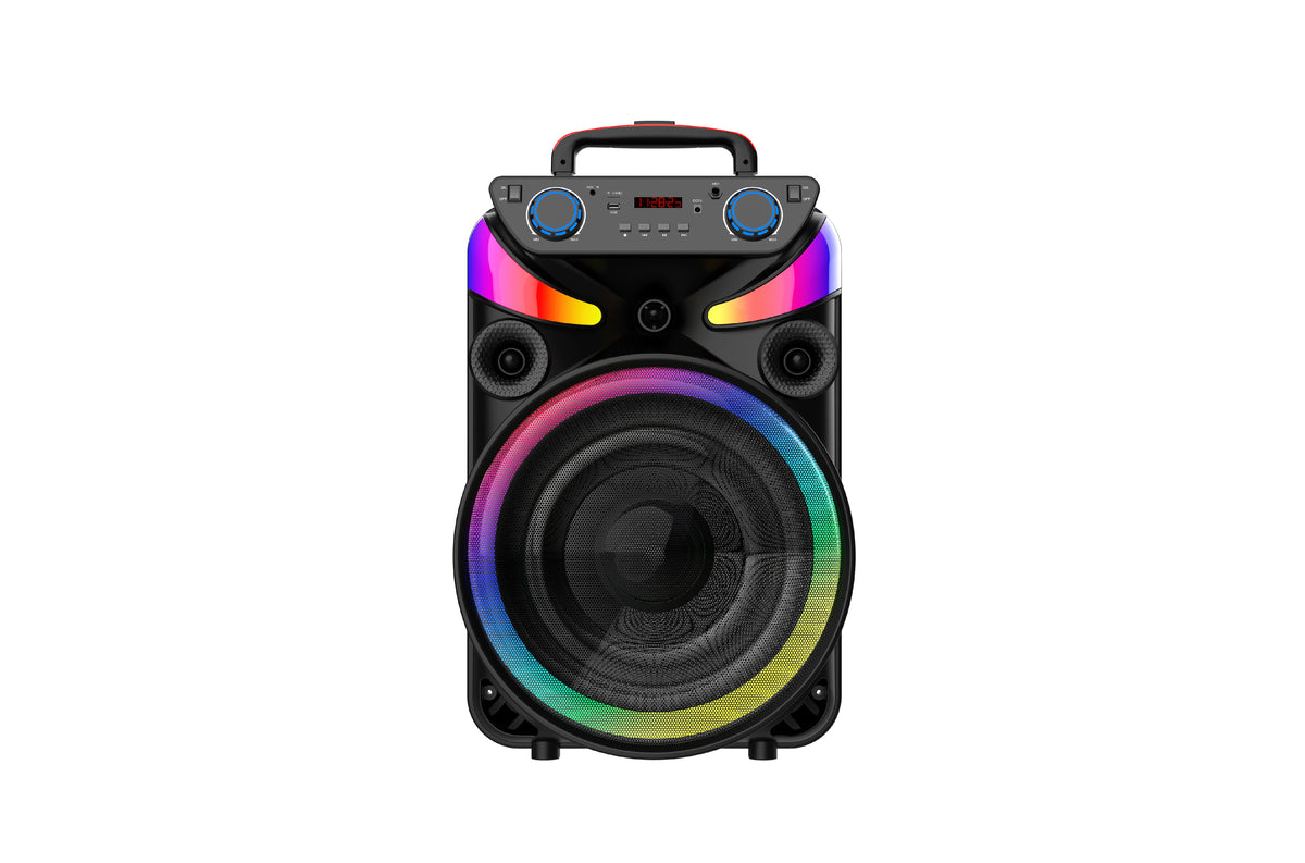 Portable Party Bluetooth Speaker 1x15inch