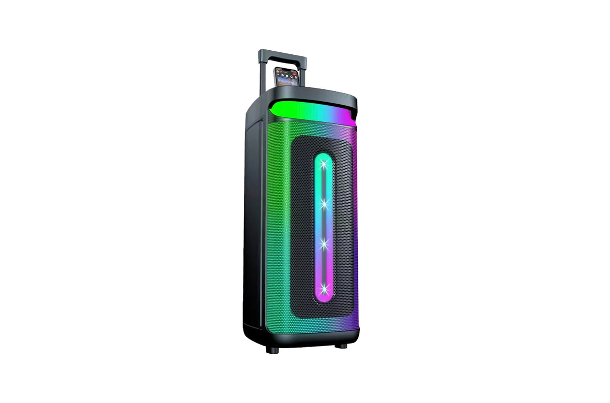Portable Party Bluetooth Speaker 2x8inch